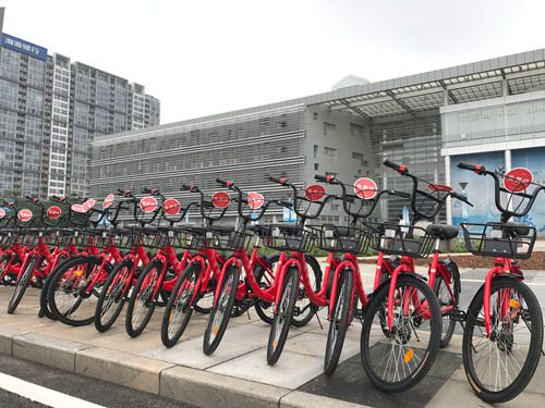 小強單車借臺風之勢入駐發源地東莞圖片