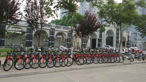 小強單車正式亮相大武陟街頭圖片