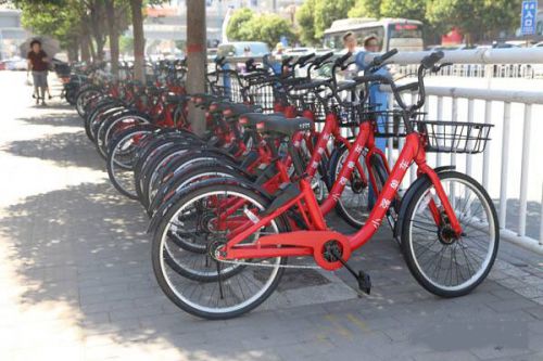 共享單車APP有哪些功能可以定制開發圖片