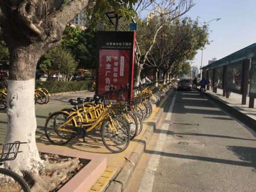 共享單車亂停亂放的問題頻頻遭人詬病圖片
