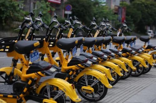 共享電動車這個項目需要怎么做圖片