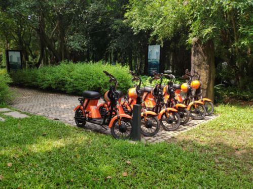 是什么造就了共享電動車在我國的超級地位圖片